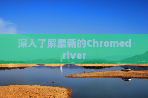 深入了解最新的Chromedriver